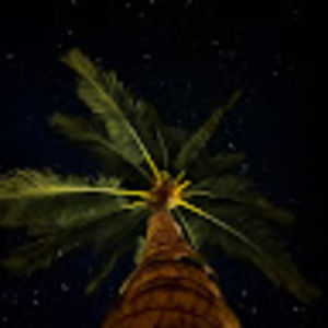 Meet your Posher, Michelle sunshine